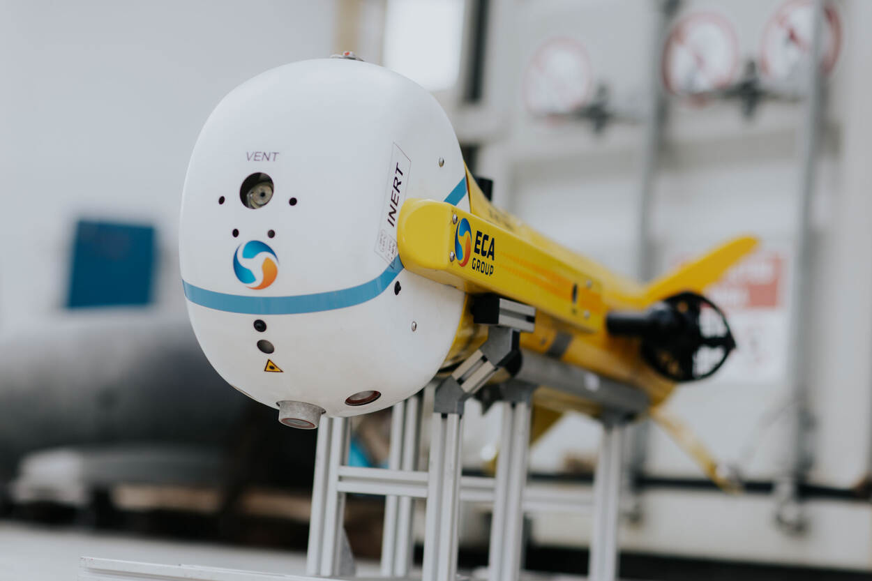 De witte kop van een K-Ster C.