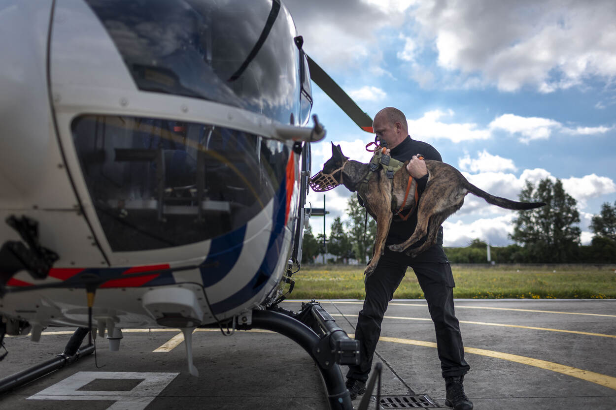 Een baas tilt zijn herdershond in een helikopter.