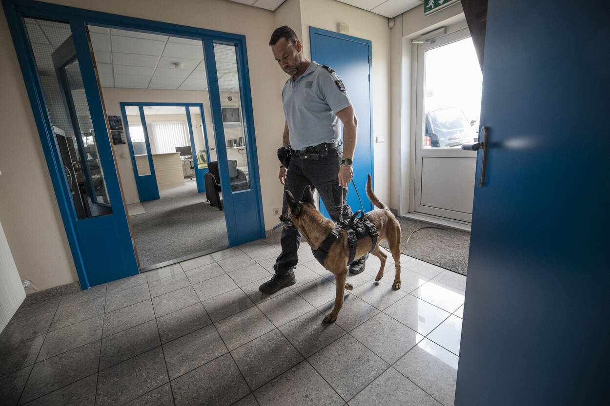 Een marechaussee en zijn hond lopen een gebouw binnen om het pand te doorzoeken.