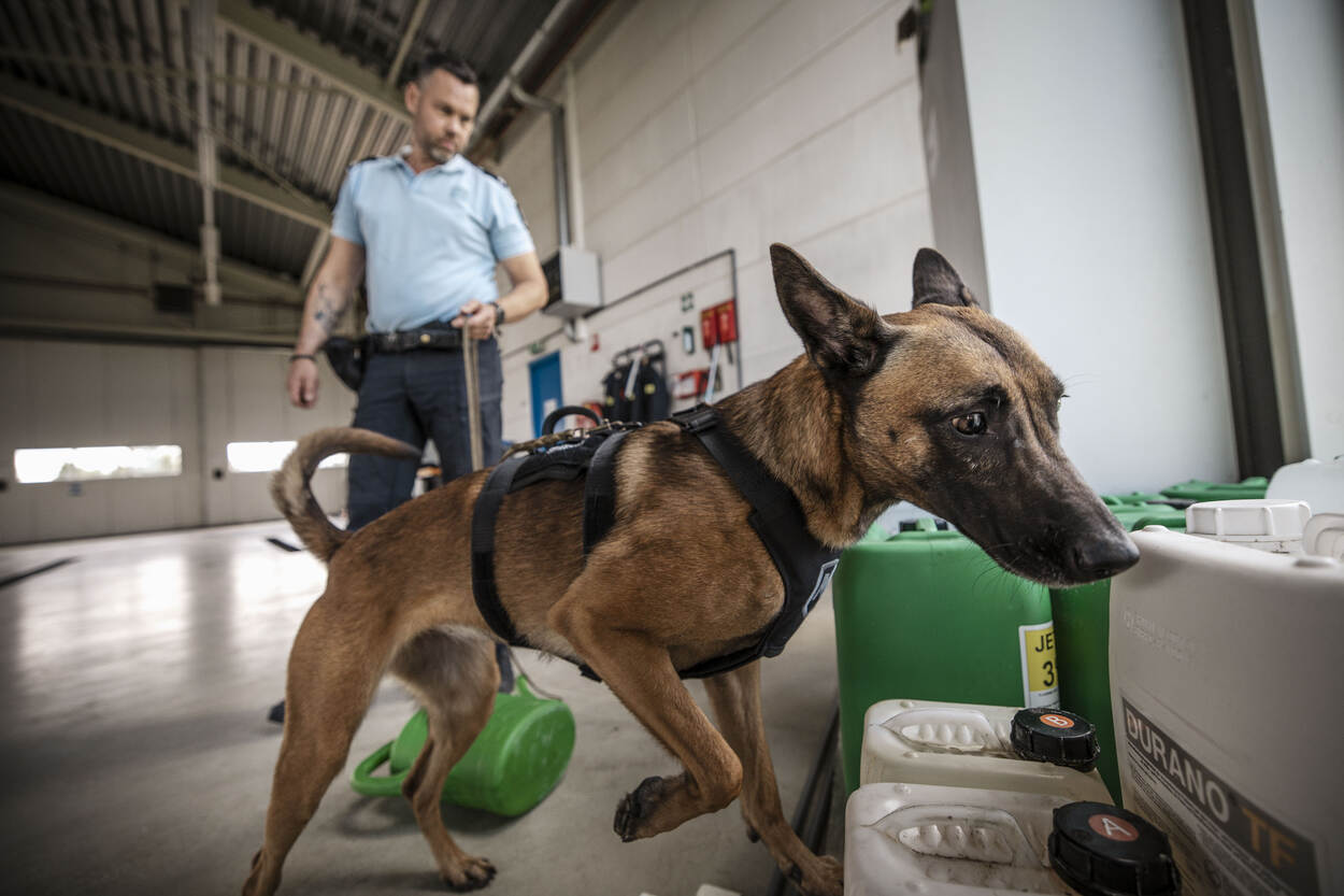 Een marechaussee en zijn hond doorzoeken een loods, de hond snuffelt aan een voorwerp.