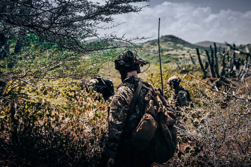 Mariniers opererend in de dichte begroeiing.