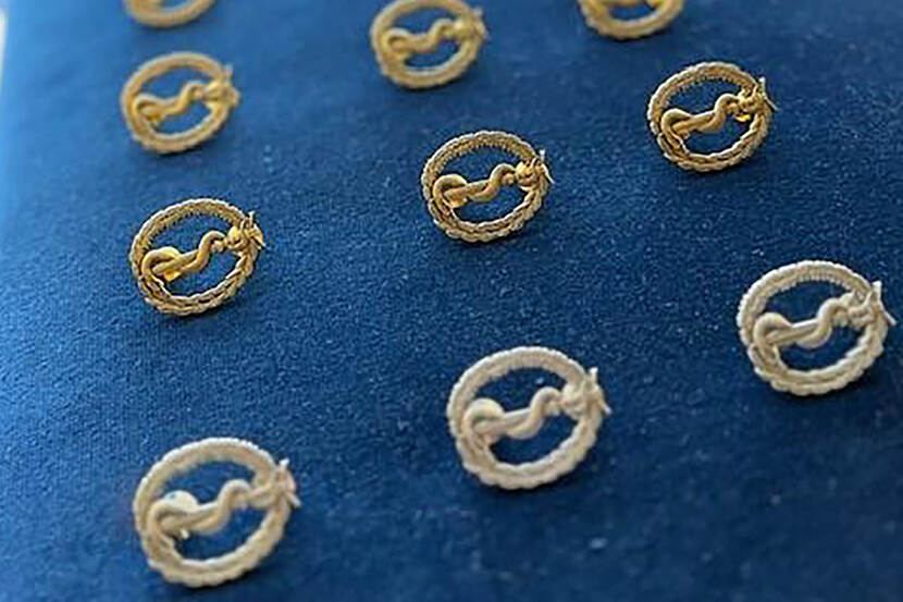 Veiligheidsspeld Combattanten Geneeskundige Neventaak.