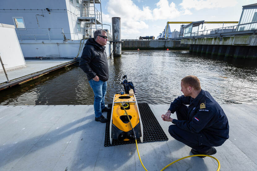 Een blik op de kleine Sea Wasp op het droge.