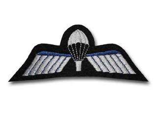 afbeelding para wing