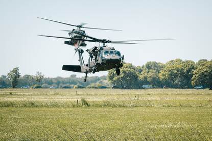 twee in het weiland landende Blackhawks.