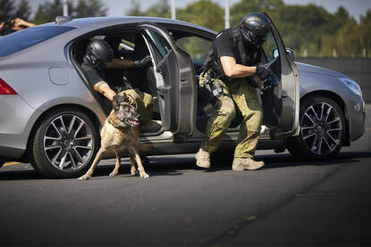 Militair met getrokken pistool en militair met hond stappen uit auto.