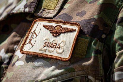 Het naamlint van Simba, Hoofd Operatiën van Task Force Lion.