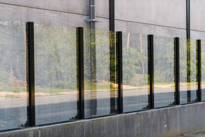 Reflectie van bosrand in glazen omheining.